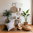 Home & Living